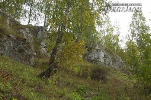 IMG_2629_r